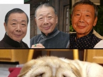 惊人的相似