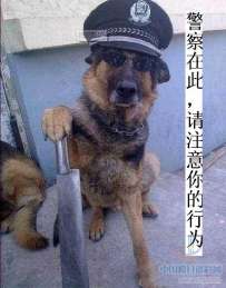 我是警察