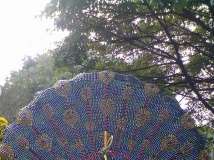 2012 中山小榄菊花展