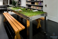 【创意生活】当植物与产品相遇，设计才有大作为