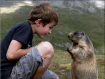 奥地利8岁男孩与土拨鼠成亲密好友