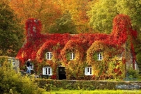 【变换之美】秋意浓，请添衣