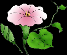 flower.png