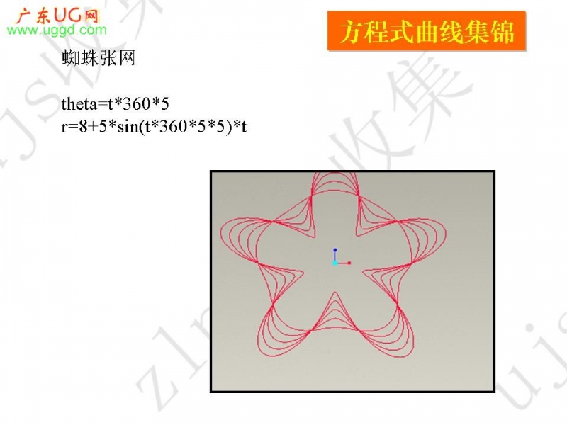 碟珠张网.jpg