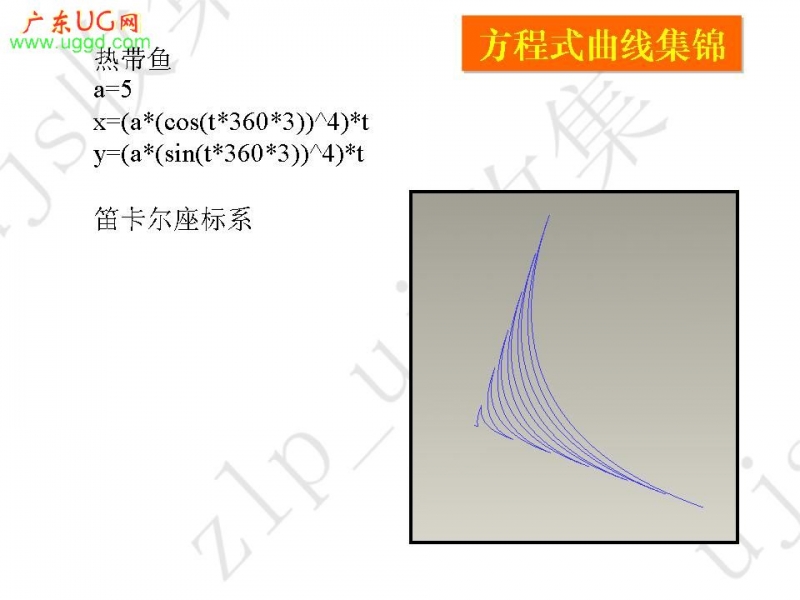 热带鱼.jpg