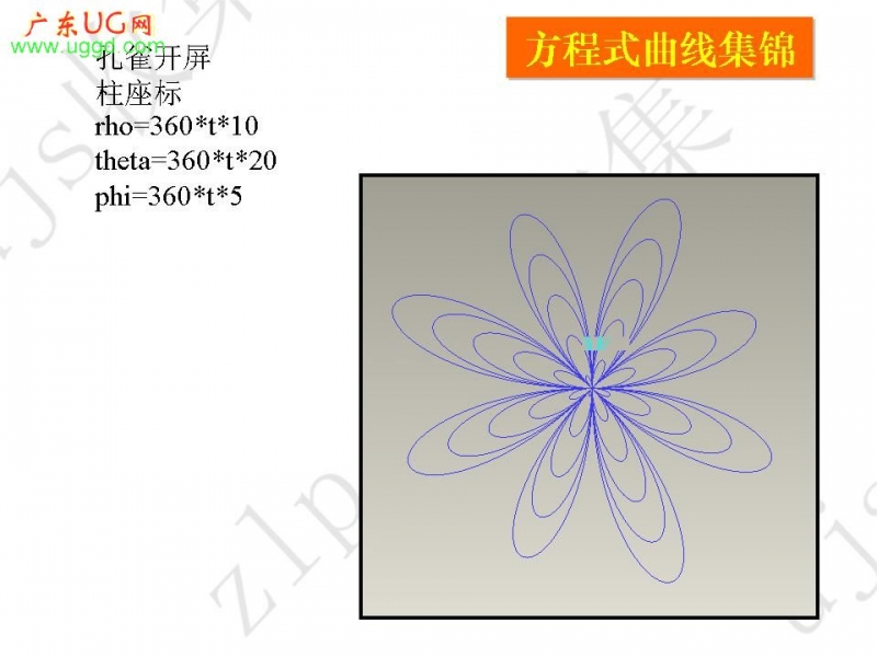 孔雀开屏.jpg