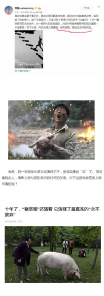 26080744105172.png