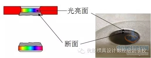 3.webp.jpg