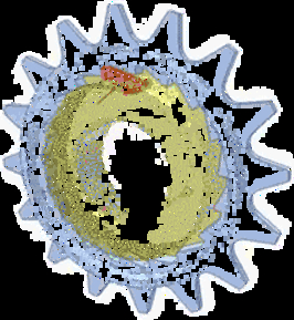 7.gif