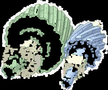 8.gif