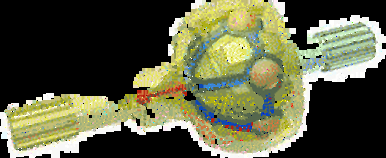 2.gif