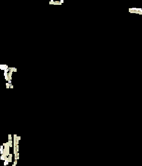 11.gif