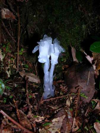 y66 p8C8Mw==_LiTnG4Ozfc6Y.jpg