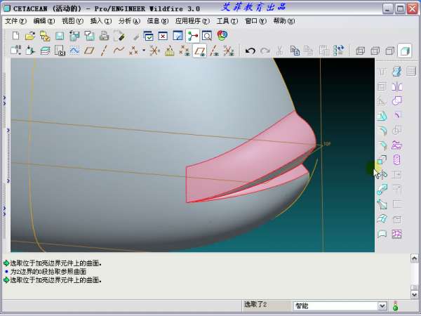 cetacean_1-2012-05-26 04-08-13.jpg