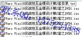 VISI-19视频教材.jpg