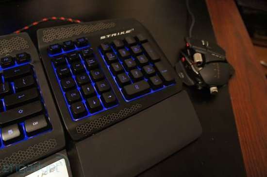 78154705.jpg