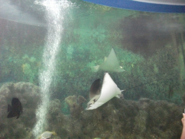 1-140P3163U3c5.jpg