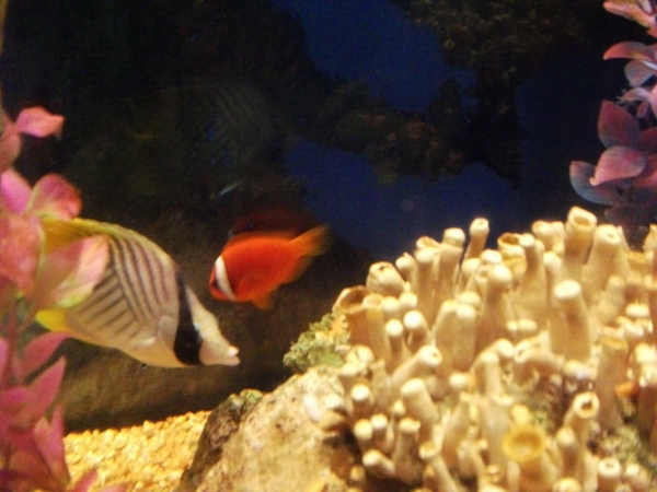 1-140P3164113R1.jpg