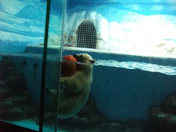 1-140P3164313W2.jpg