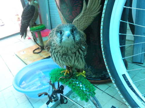 20140630_143537.jpg