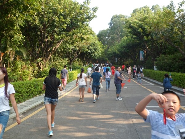 06.JPG