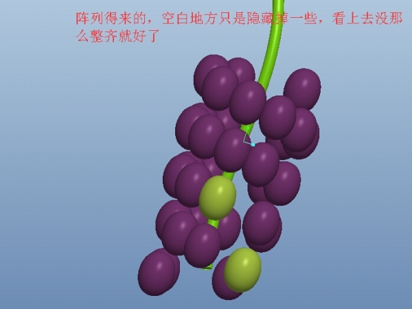 葡萄.jpg