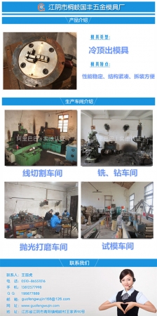 国丰冷顶出模具.jpg