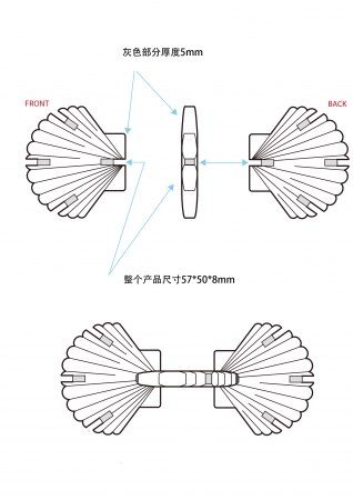 扇贝.jpg