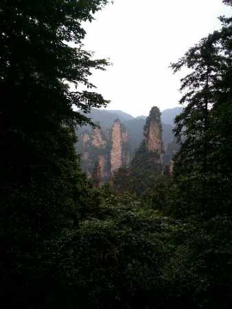 IMG_20150702_151155.jpg