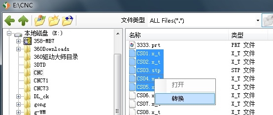 wt1-1.jpg